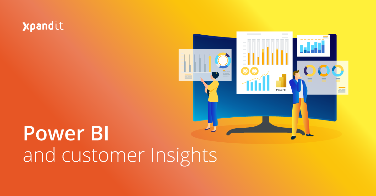 Power BI Customer Insights